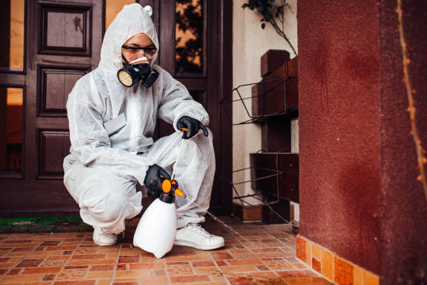 Attic and Crawl Space Rodent Treatment in Salunga