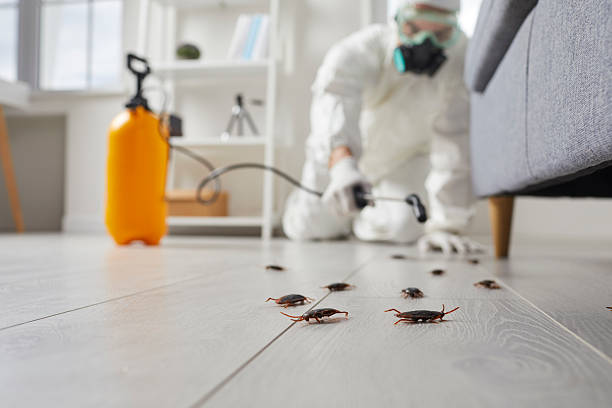 Commercial Rodent Management in Salunga